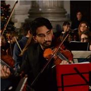 Diplomato in conservatorio in Violino e Viola offre lezioni private di Violino, Viola, Solfeggio, educazione muscale